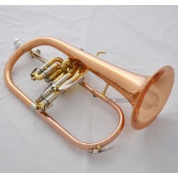 Professional Rose Brass Bb Flugelhorn Horn Monel Valve ABALONE Shell Case