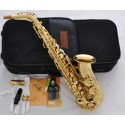 Professional Superbrass 5000 Model Alto Sax Gold Saxophone Germany Mouth With Case