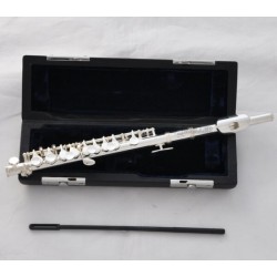 Sale!!! Quality Superbrass Silver Plated C Tone Piccolo Flute With Case Headjoint