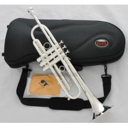 Brand Professional Silver Trumpet Design horn Monel valve with Case