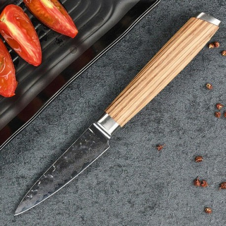 3.5 '' japonés Vg-10 Damasco Cuchillos de cocina de acero inoxidable Cuchillo de corte de acero inoxidable