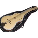 Weissenborn Indian Mohan Veena Acoustic Slide Guitar. Custom-Made. Rosewood