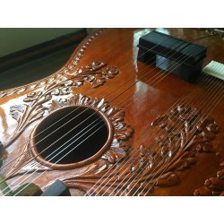 Collectible Carved Chaturangui Style Sitar Fret Neck Design Mohan Veena Slide Guitar. Custom made