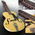 Modelo clásico Mohan Veena con configuración tradicional de cuerda Taraf