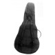 MOHAN VEENA SLIDE GUITAR w EXTRA RESONATOR