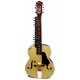 MOHAN VEENA SLIDE GUITAR w EXTRA RESONATOR