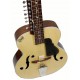 MOHAN VEENA SLIDE GUITAR w EXTRA RESONATOR