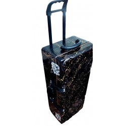 Special Quality Fiberglass Flight Case for Indian SARANGI. Special Locks, Trolley Wheels, Ultra Rugged